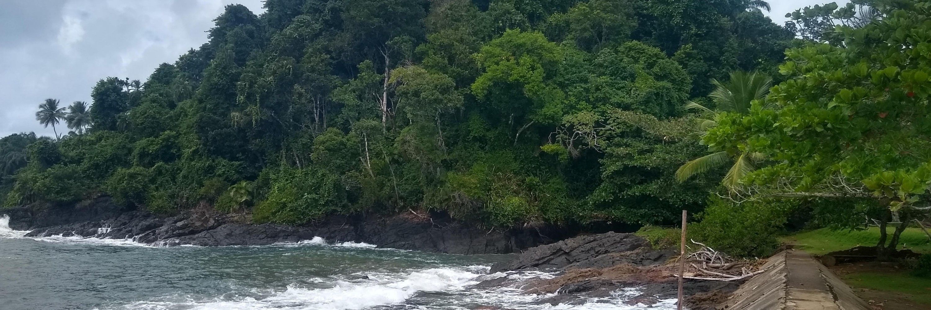Josenilson Lima