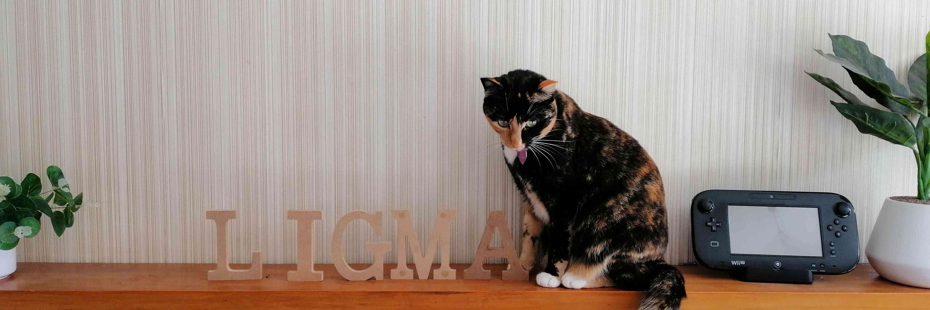 Ham