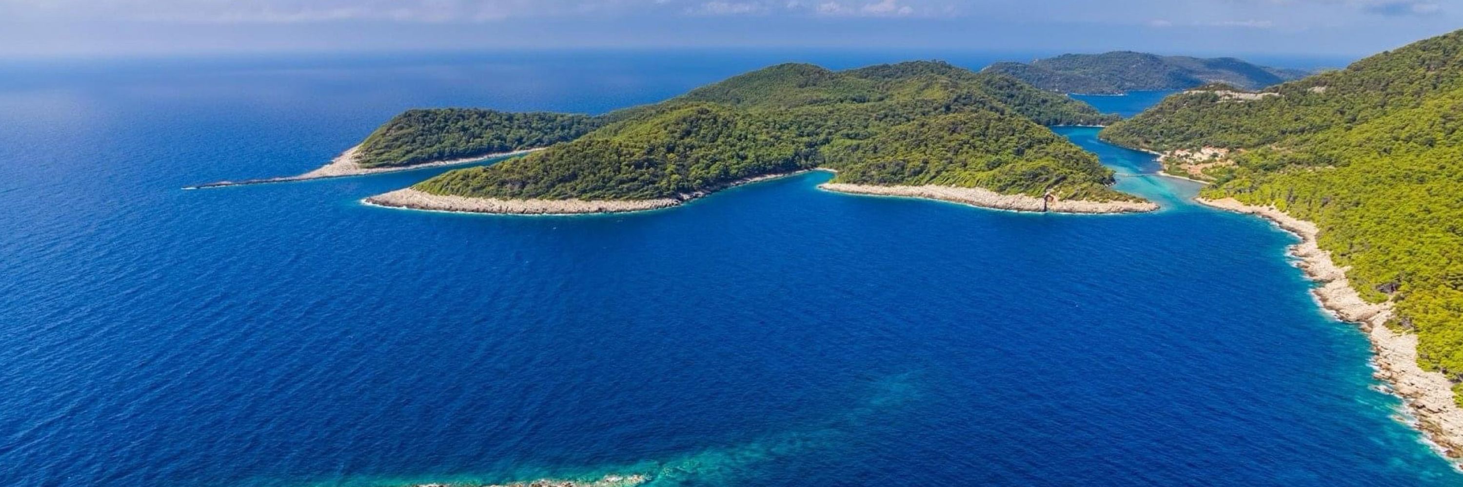Clean Adriatic Sea Alliance