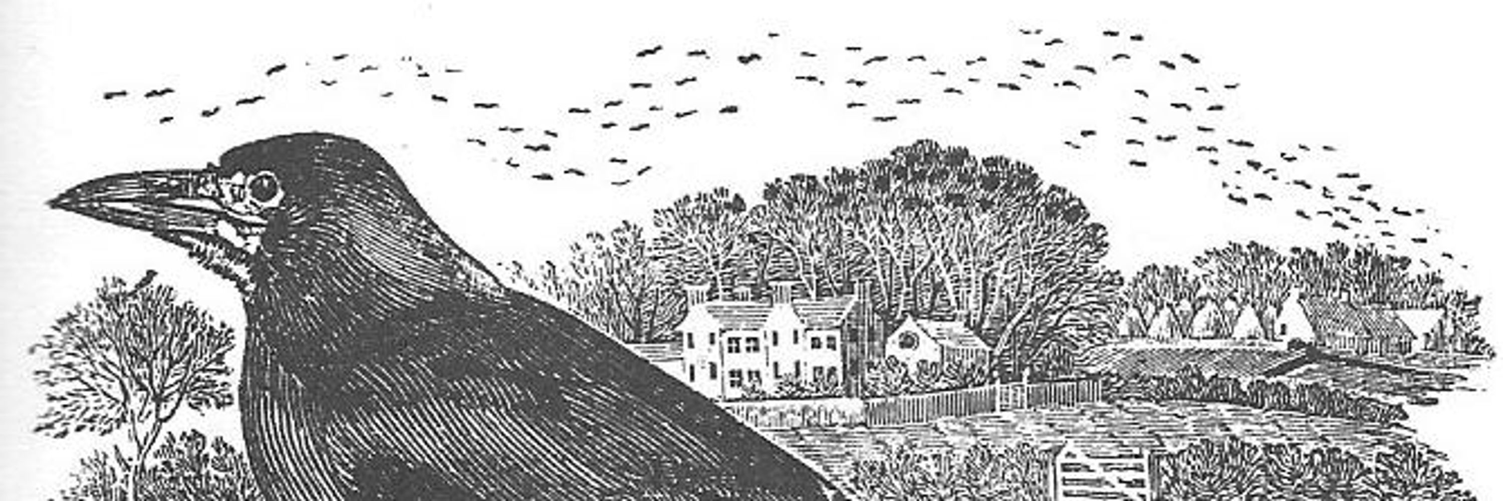 Catherine Davis
