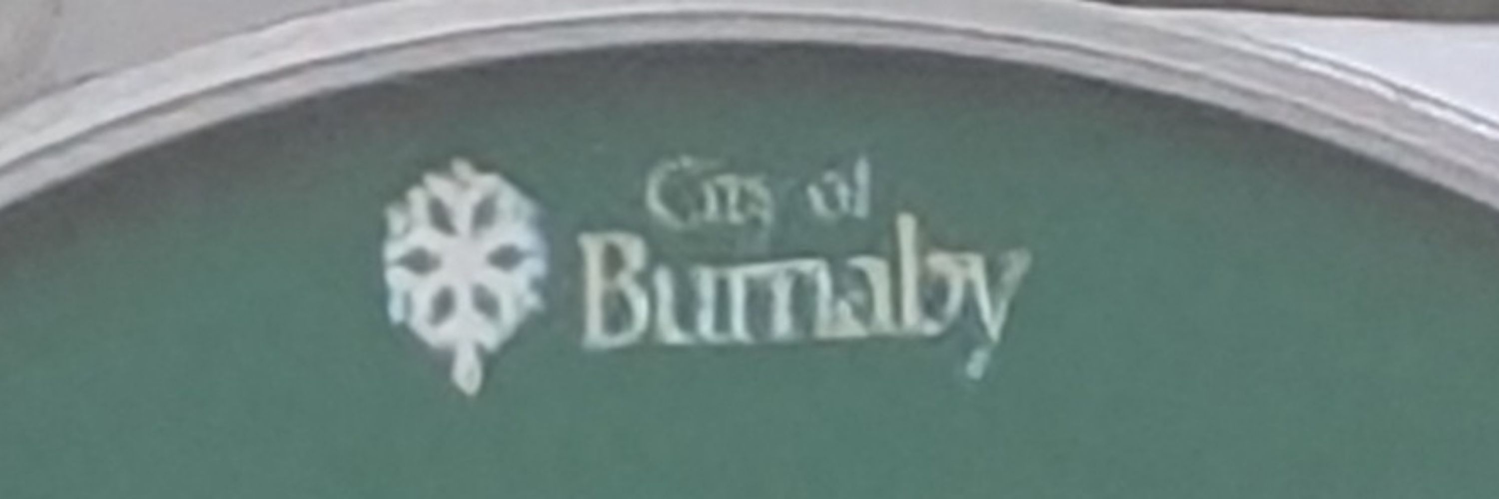 burnabybee