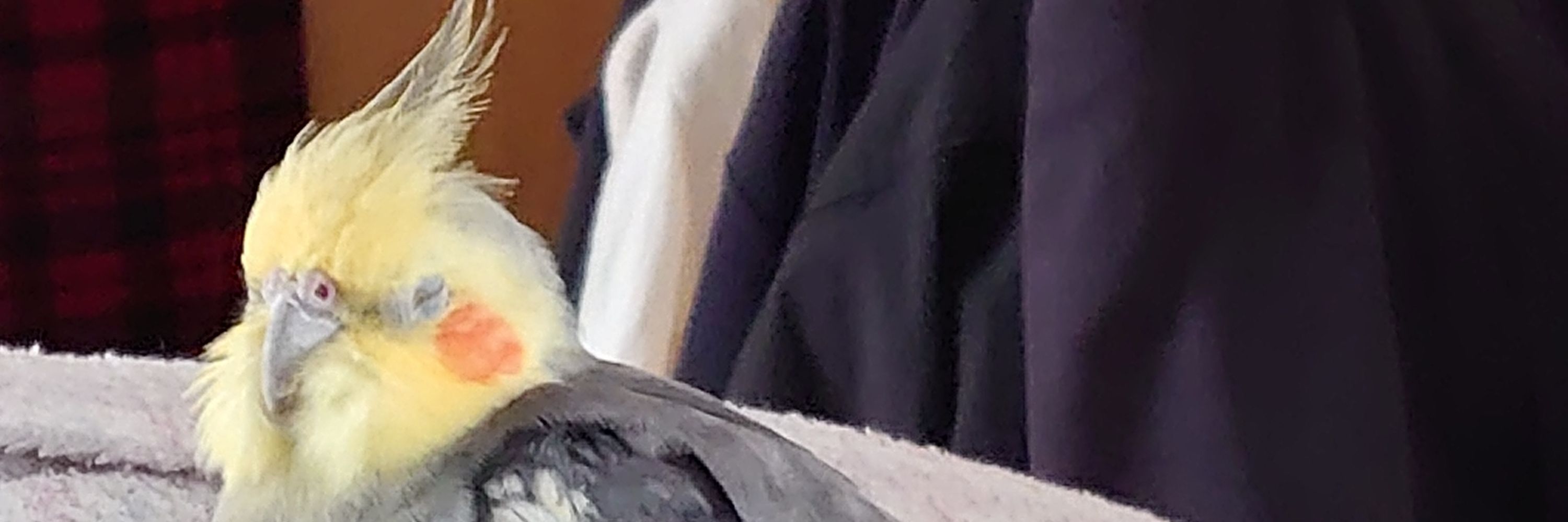 るか