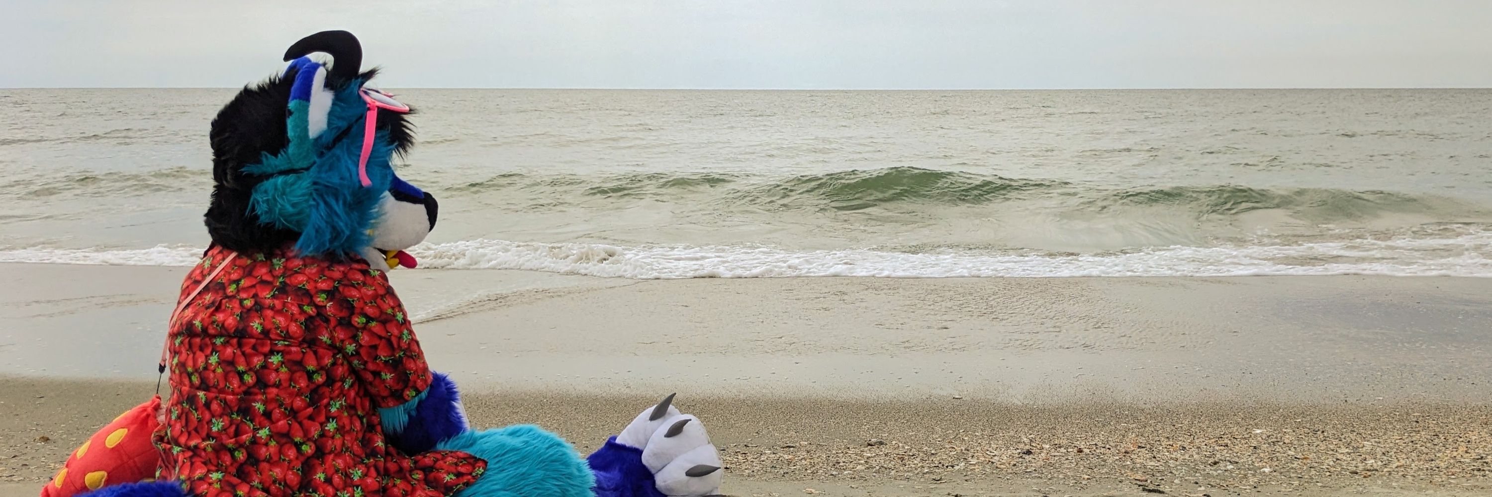 🛴 Blue Fox on a Scooter 🛴