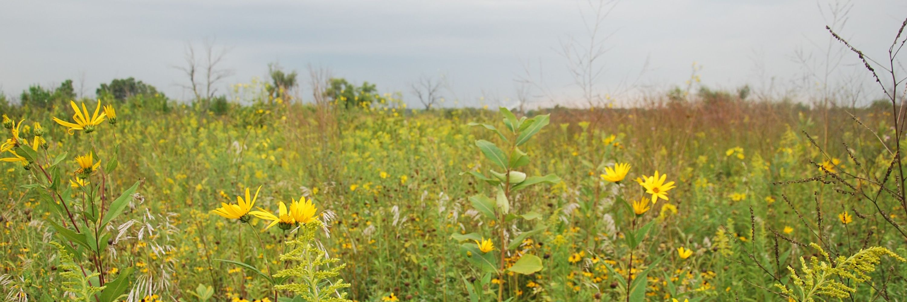 chase prairie