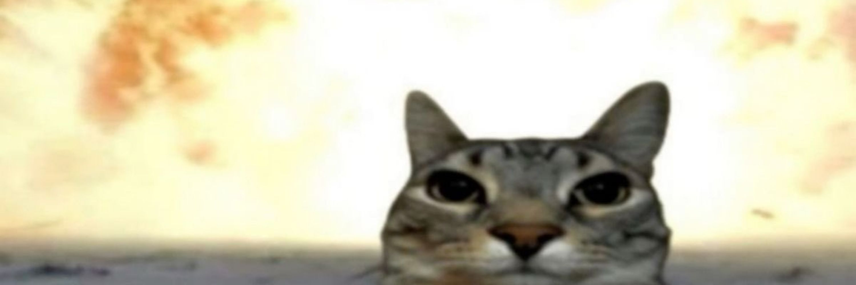 팽구