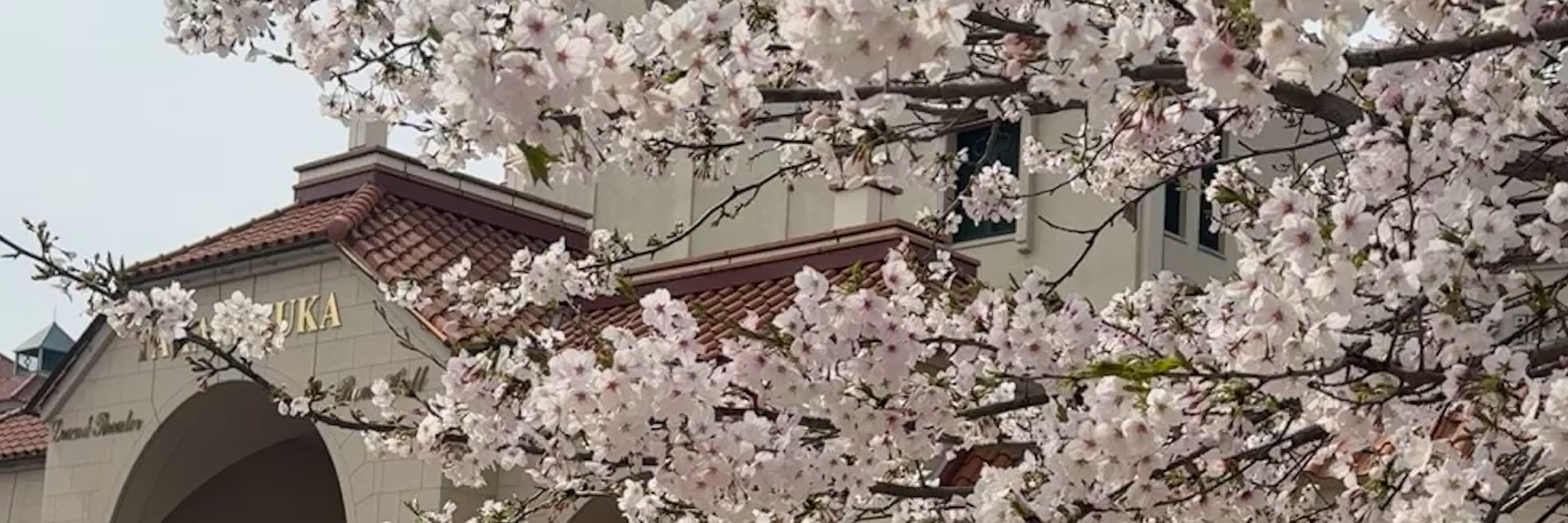 Chiori