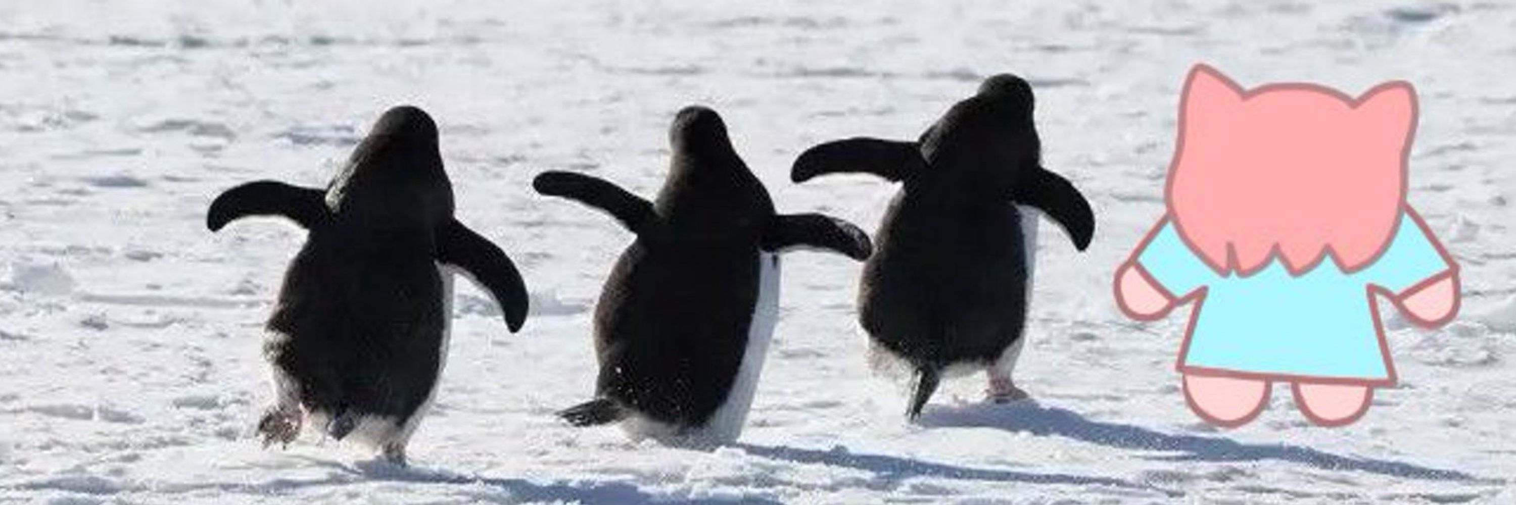 Miminggu ⭐️🐧