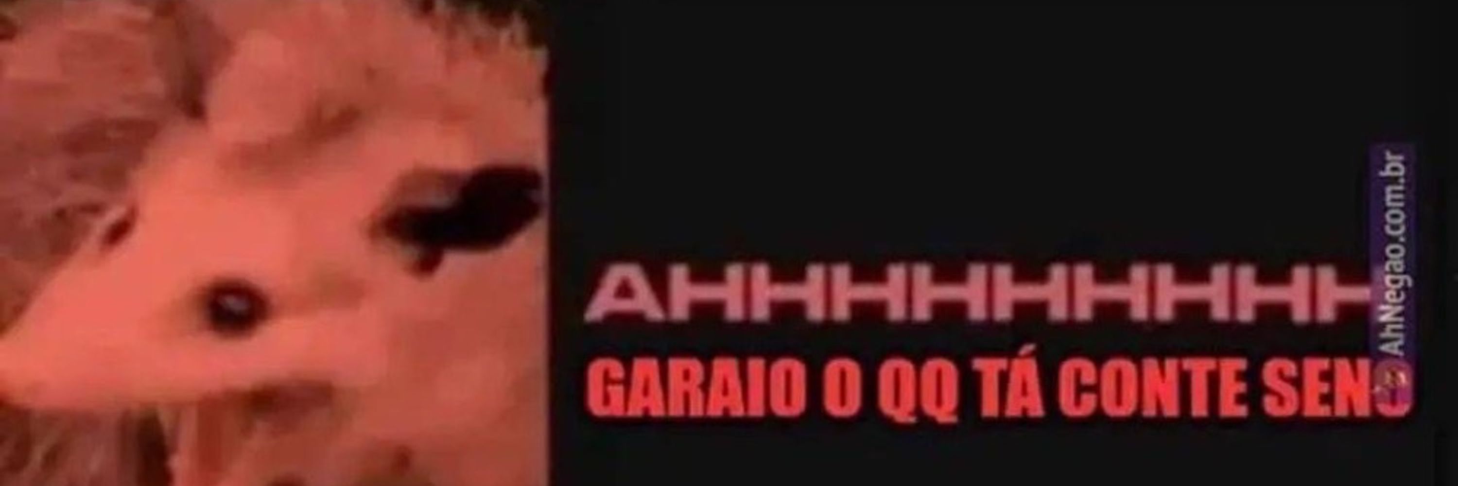 Augusto Correia