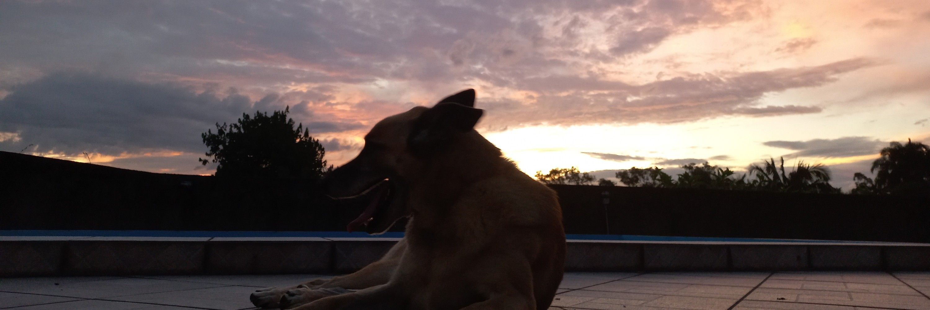 Murilooo