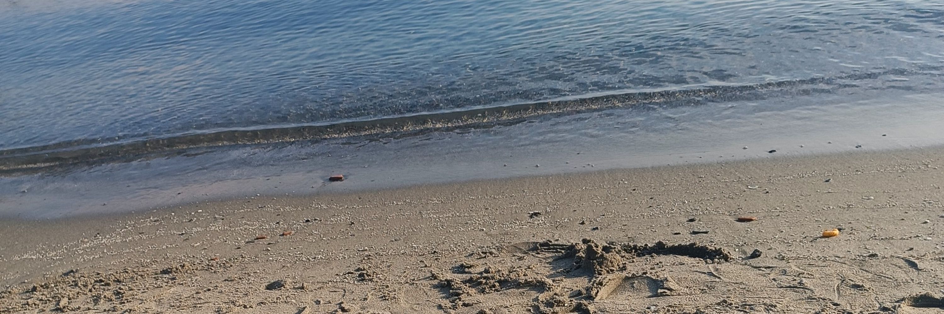 Deniz