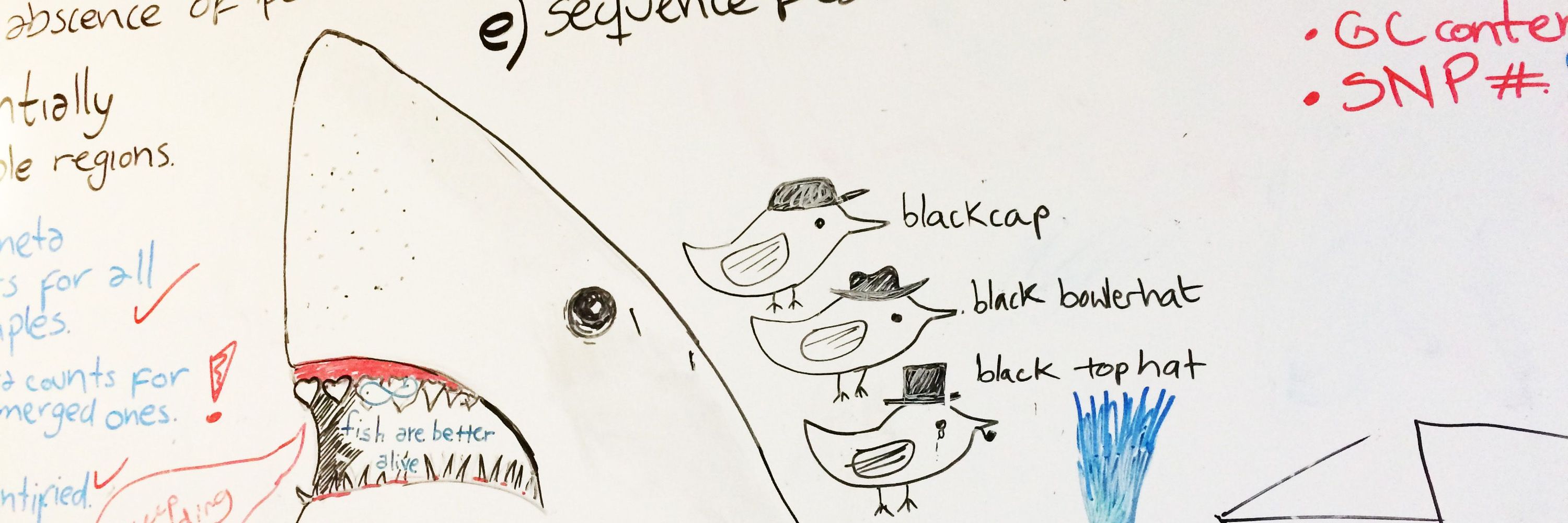 liedvogel lab