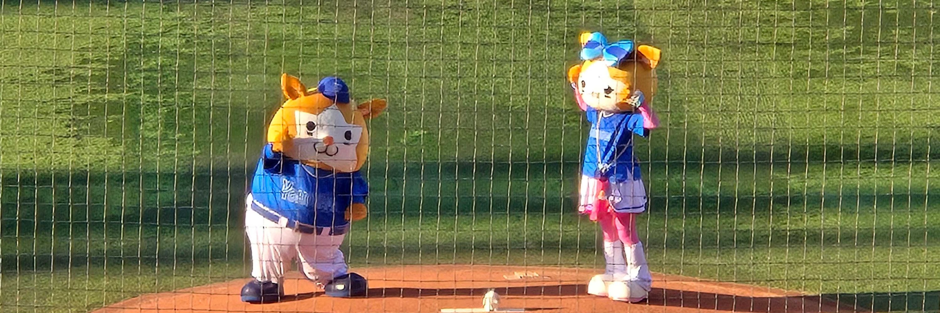 しゅーく