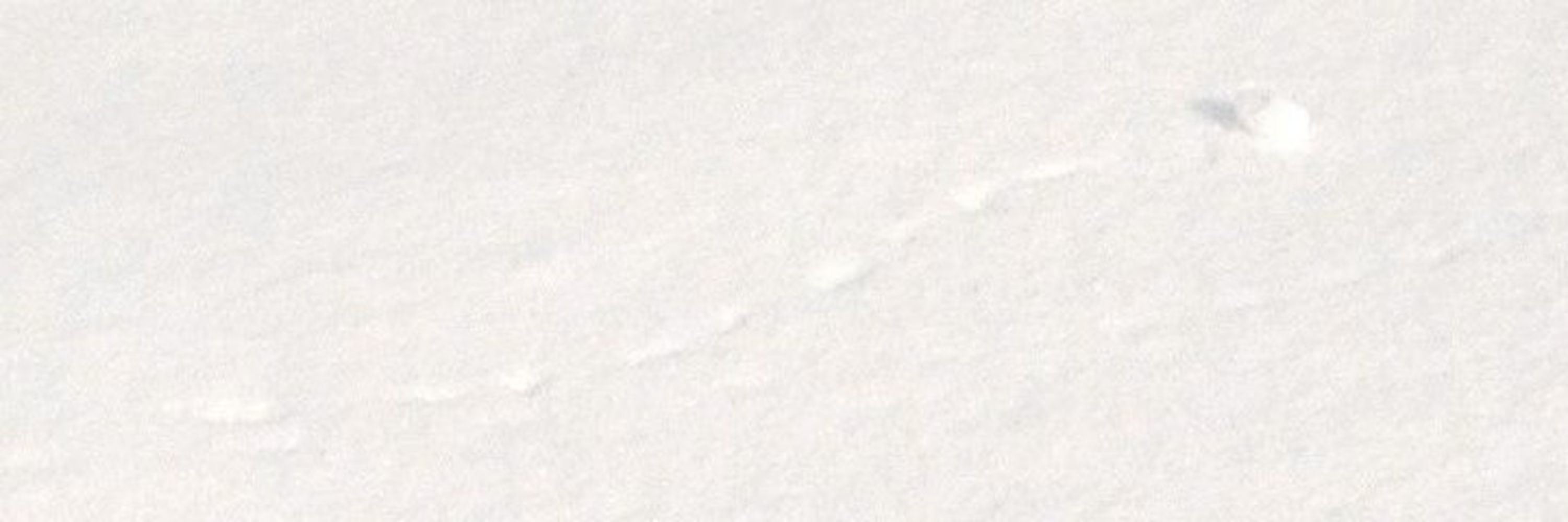 zerota