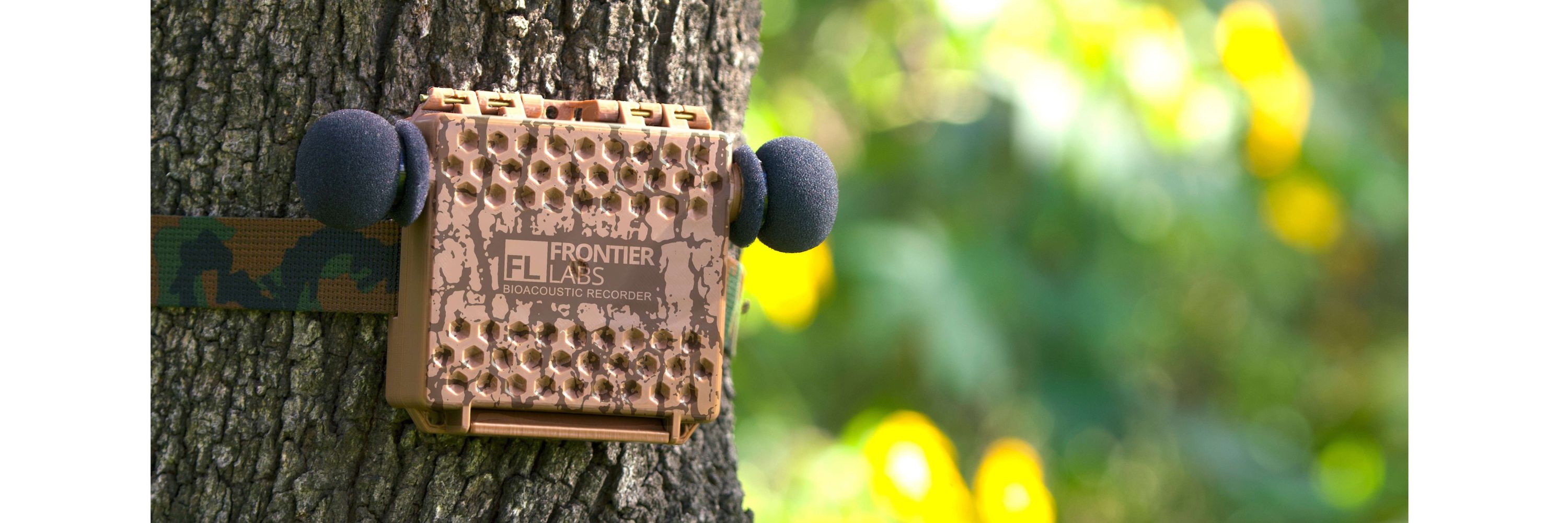 Frontier Labs