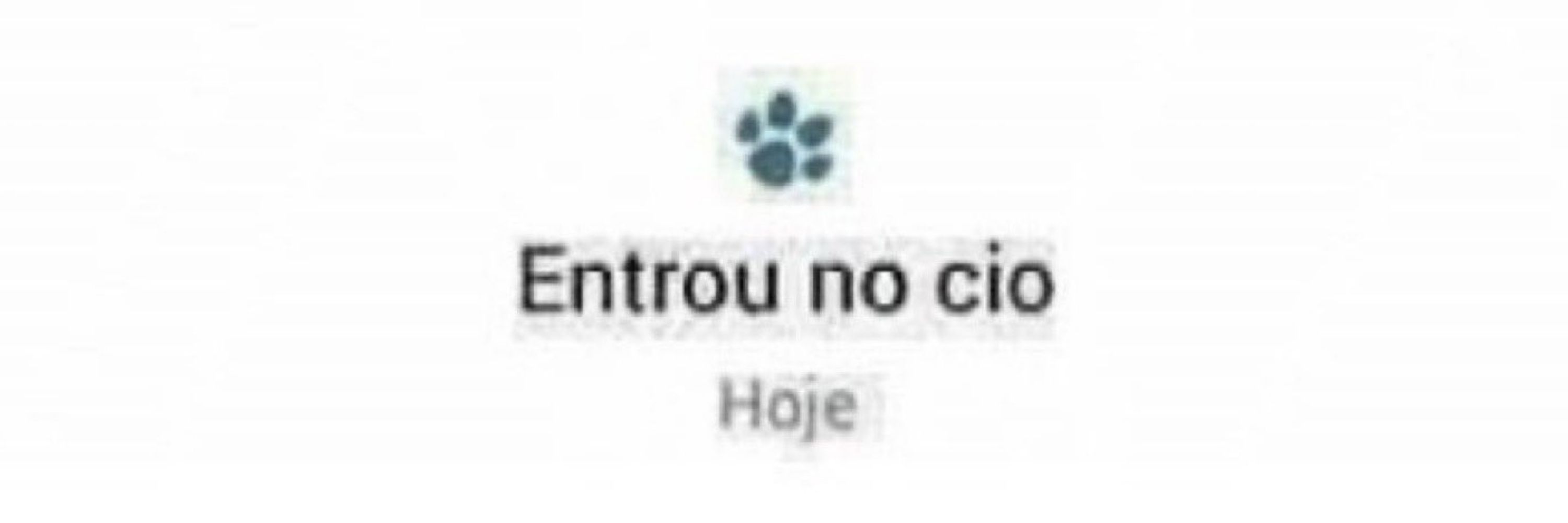 Alisson