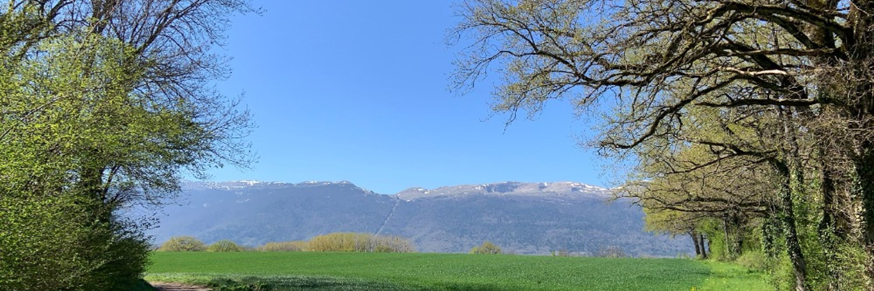 Lenie.Vélo