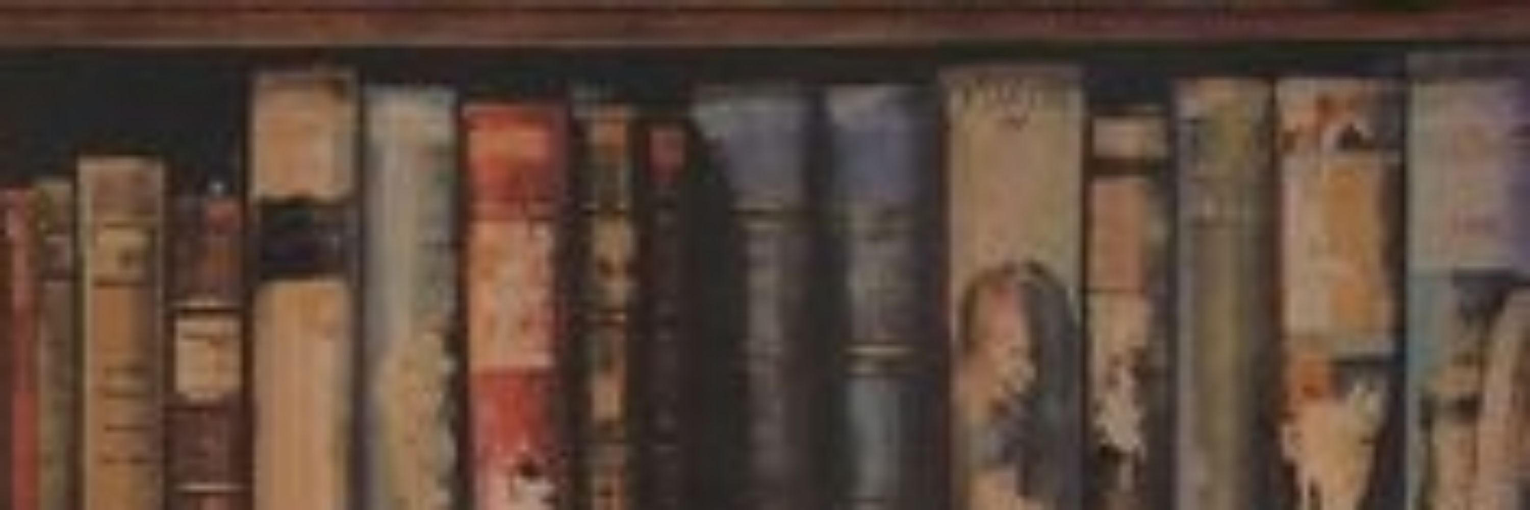 LostReader