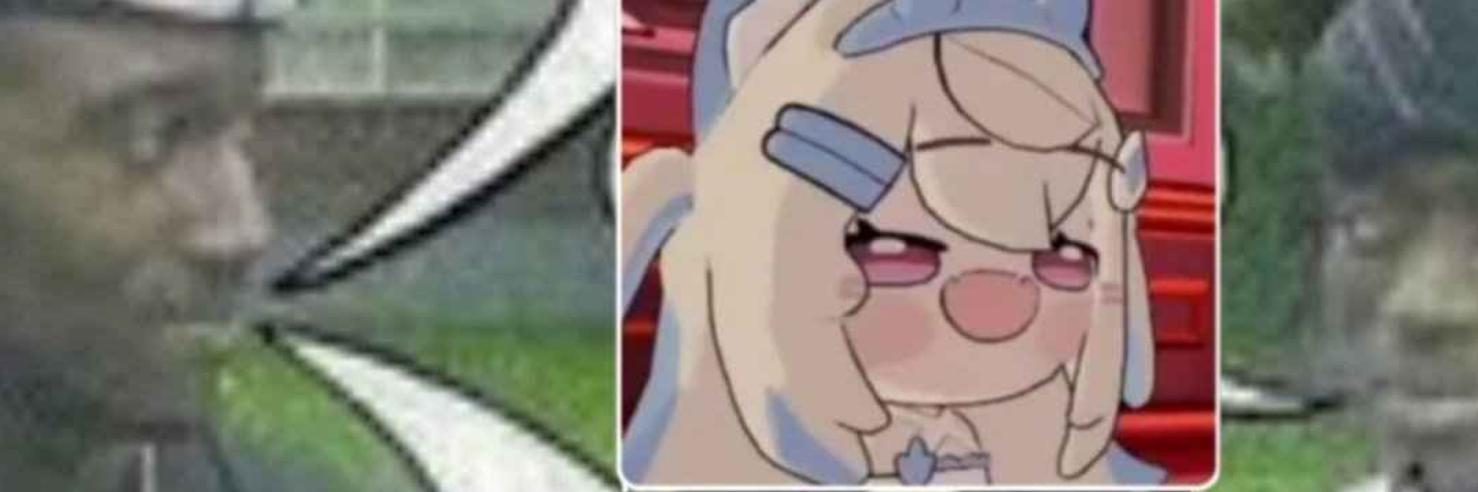 L-Shadow (Dingus)