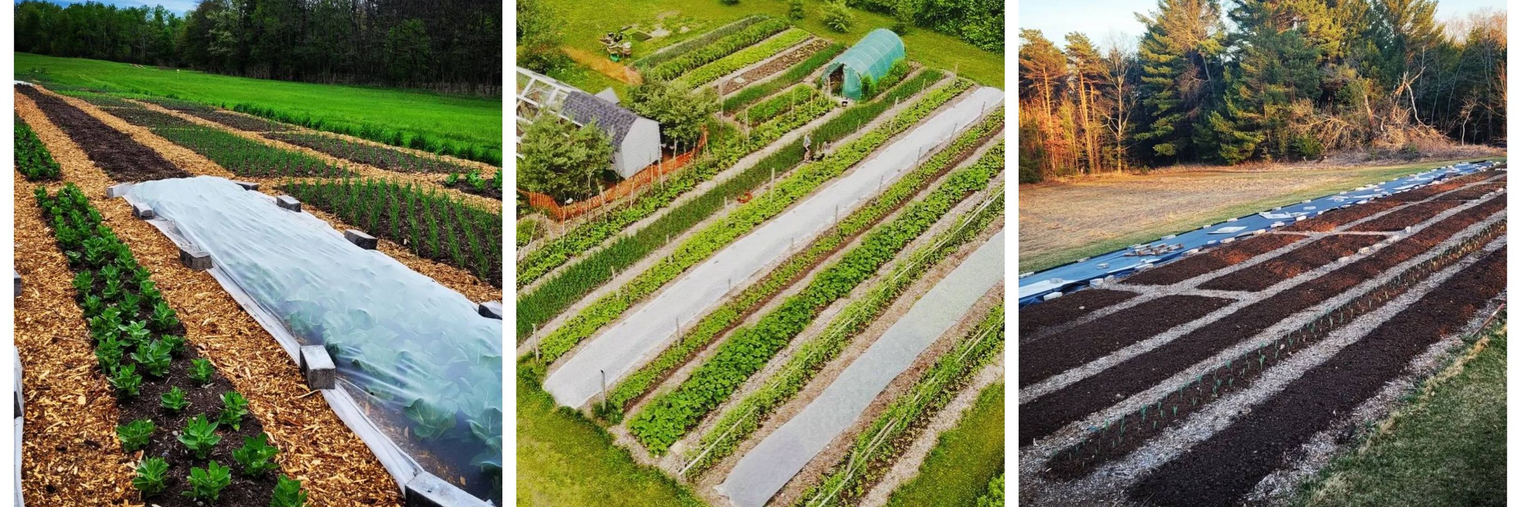 Connor's Garden