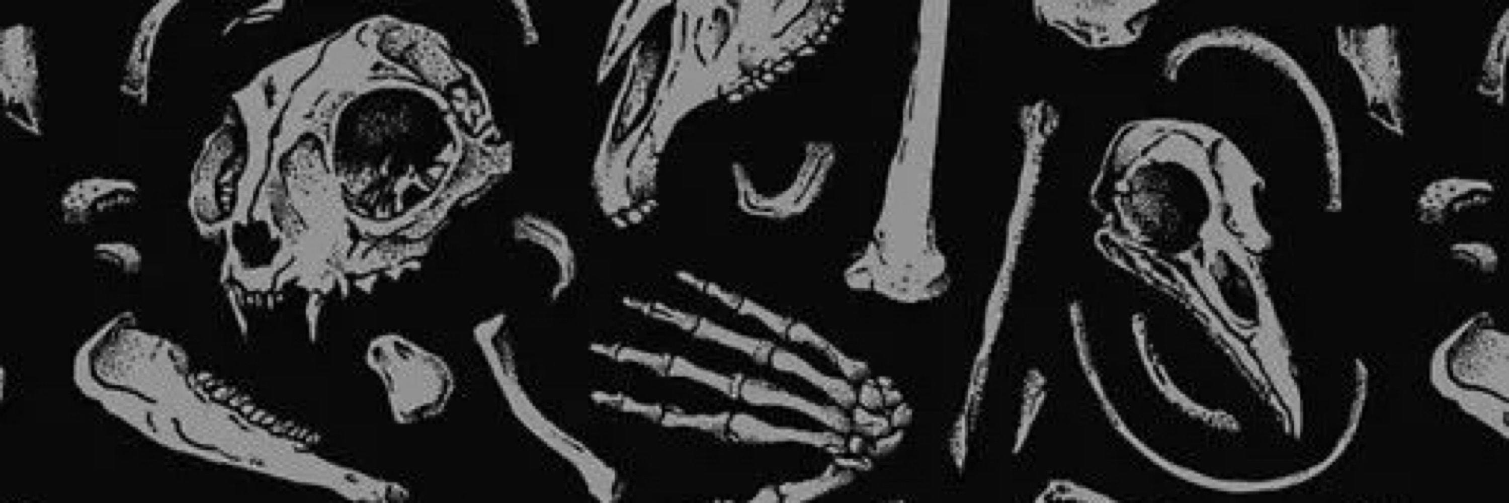 Ash (BG3, DA & LotR Brainrot)