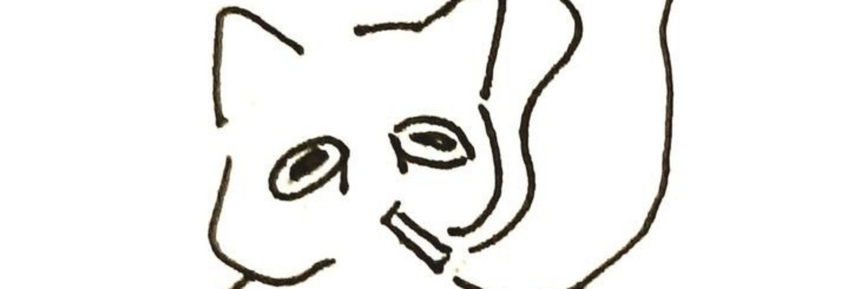 TKrlhSayuri