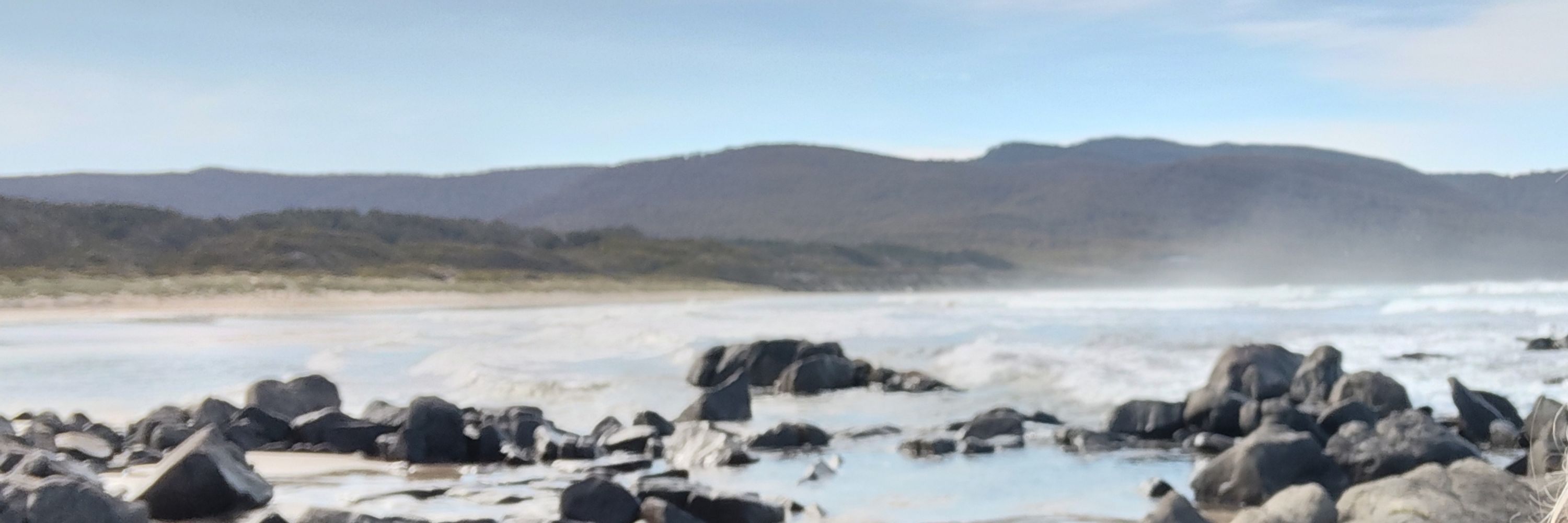 TasmanianClimateCollective
