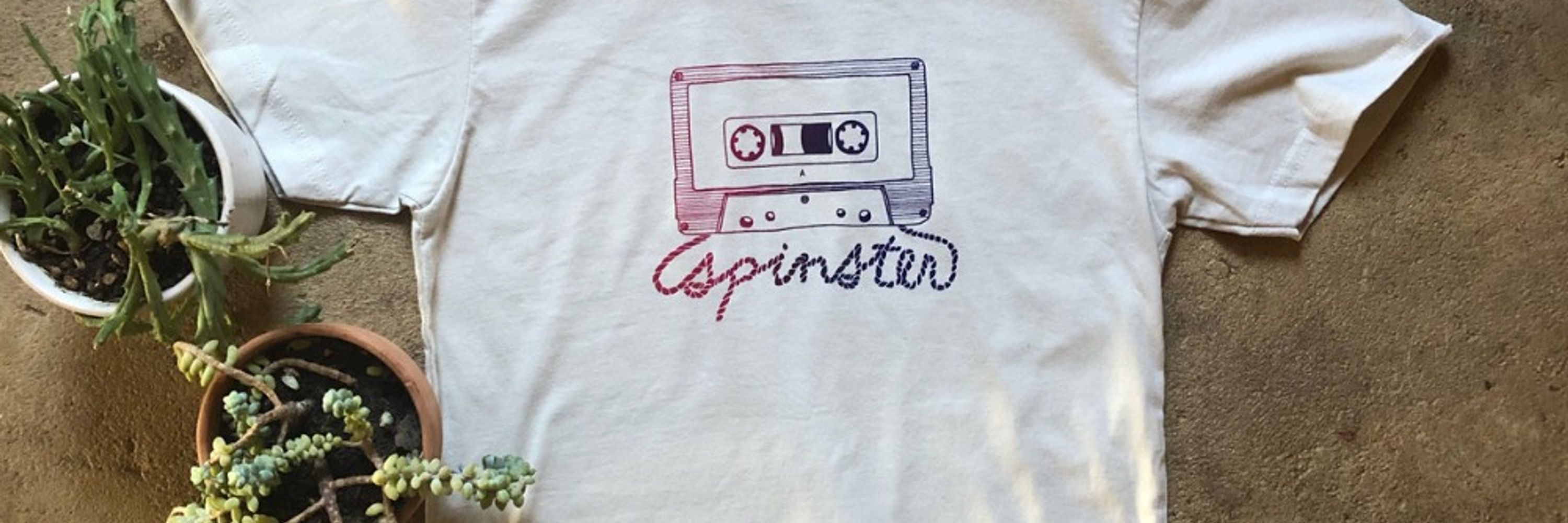 S P I N S T E R
