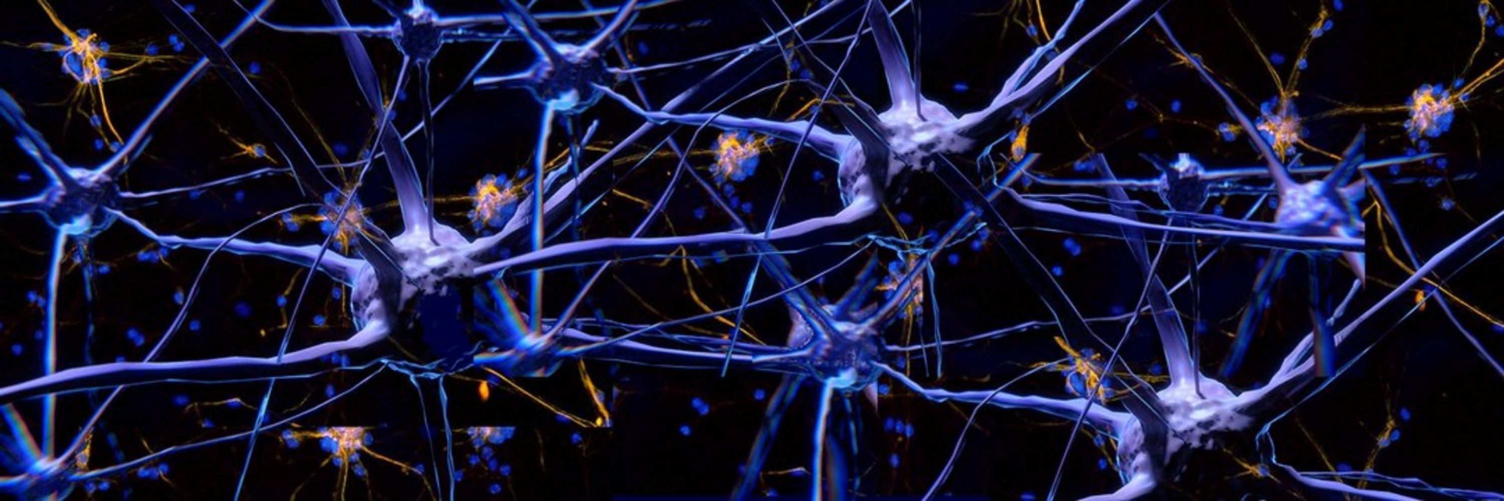 Brain Ablaze