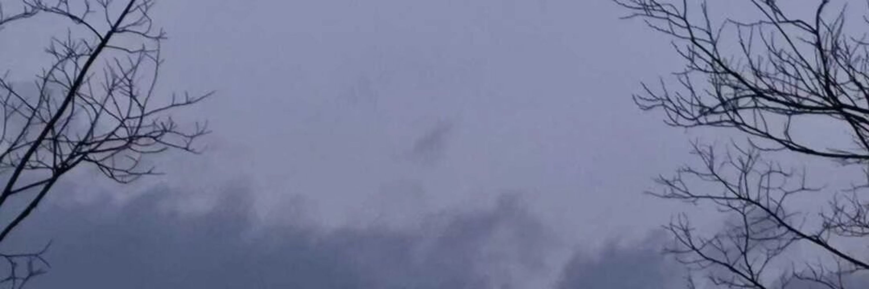 大水獭