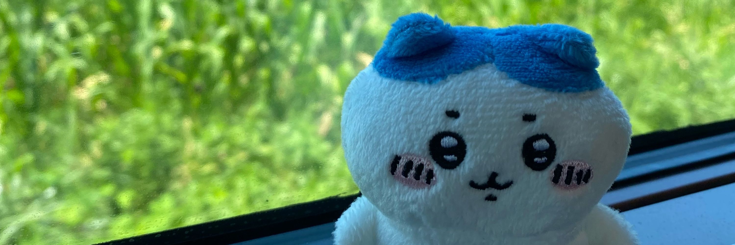 かじまのかいぬし