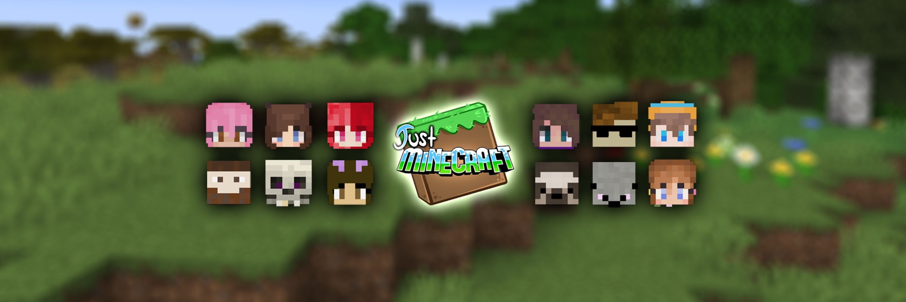 Just Minecraft SMP