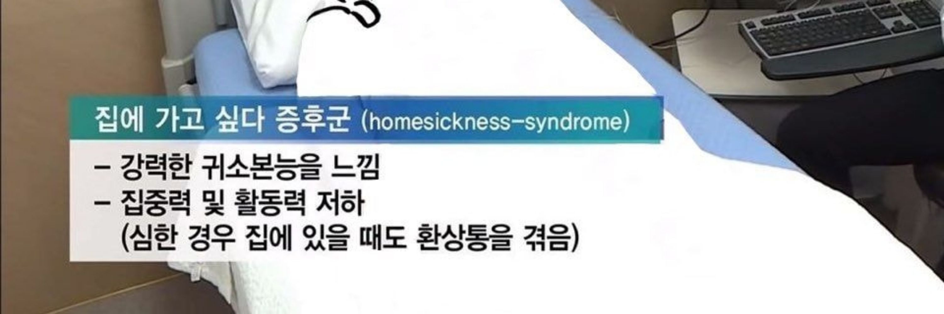 대니곰