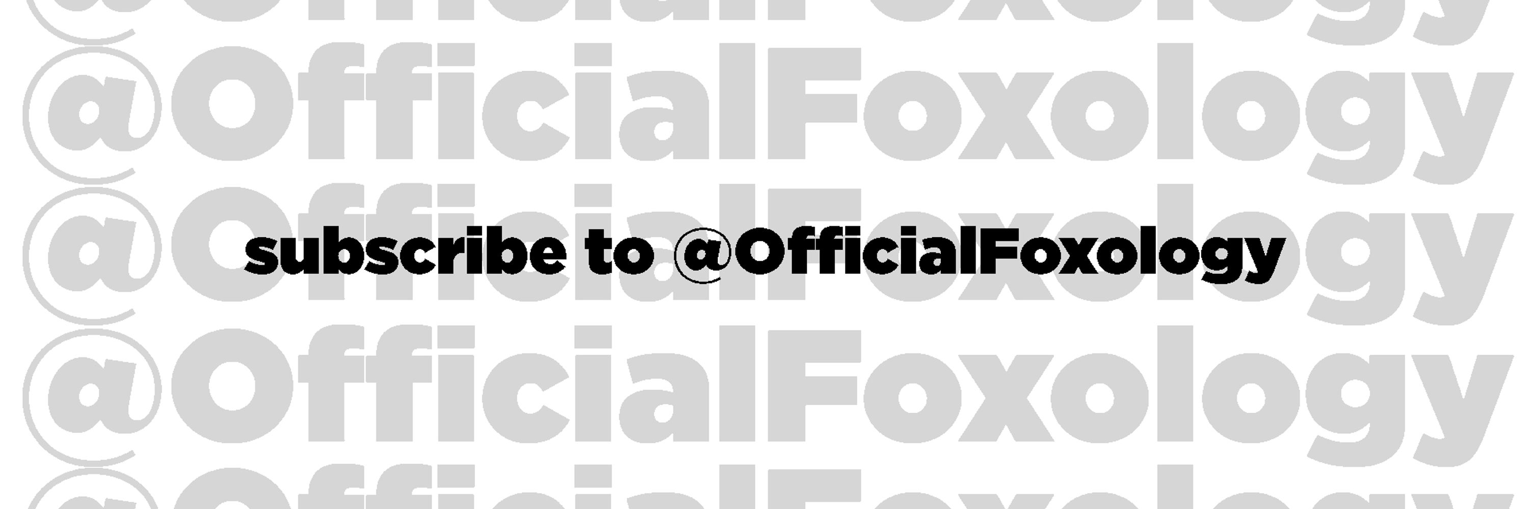 sirfoxo 💙 | comms opens (0/1)