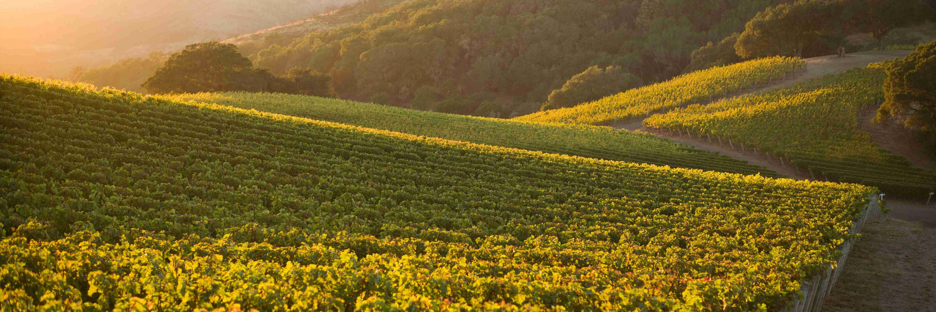 Kenzo Estate Winery & Kenzo Napa Restaurant & Kenzo Farms