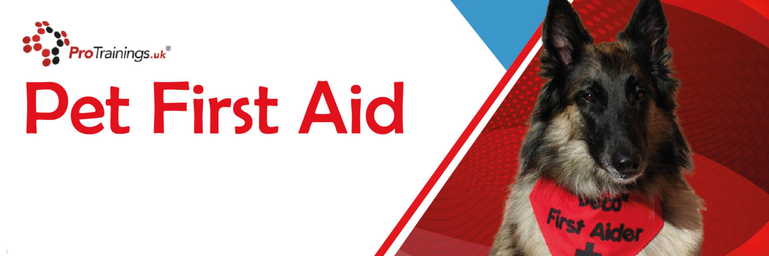 Pet First Aid