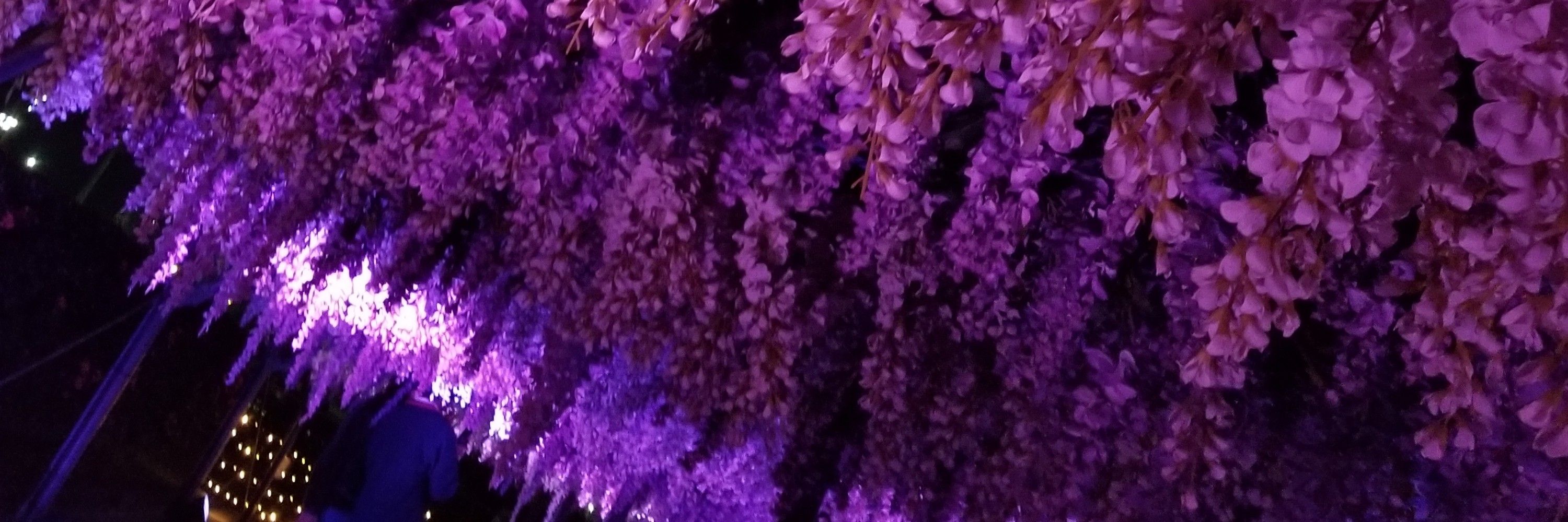 おとぎ雛