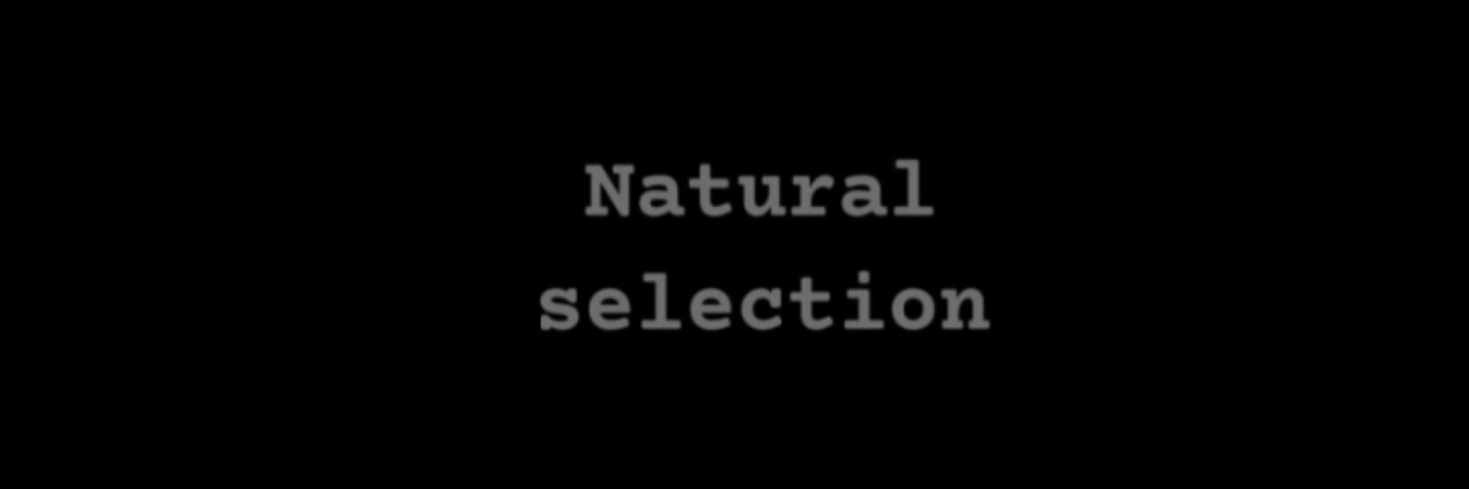 ɳɑɳɑ୨ৎ ᯓ