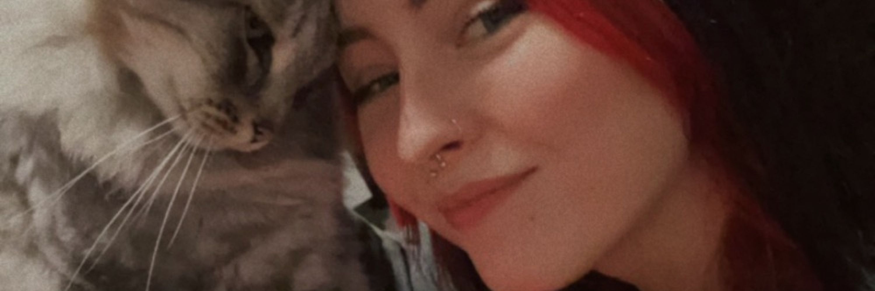 meowiieh / moni