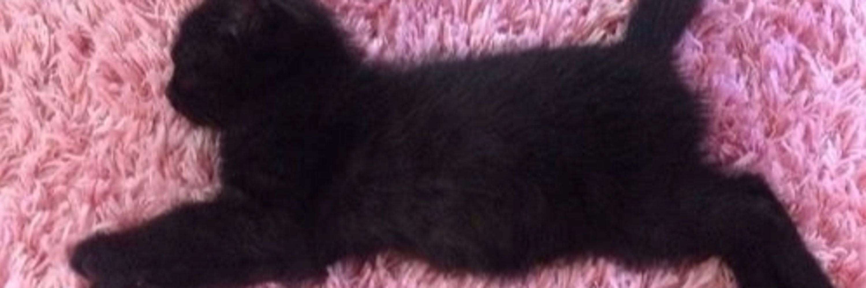 LilFukNug