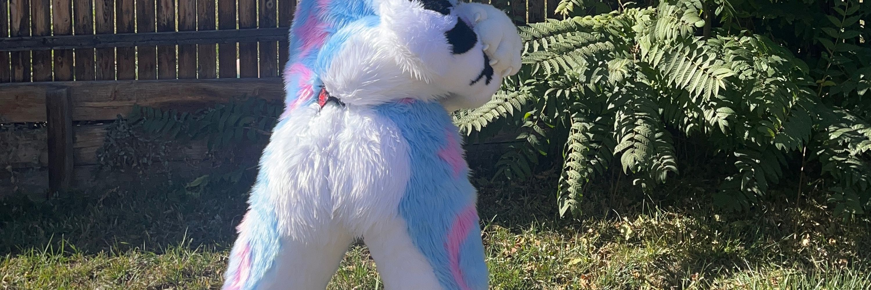 Rose Doggy 🔜 MFF