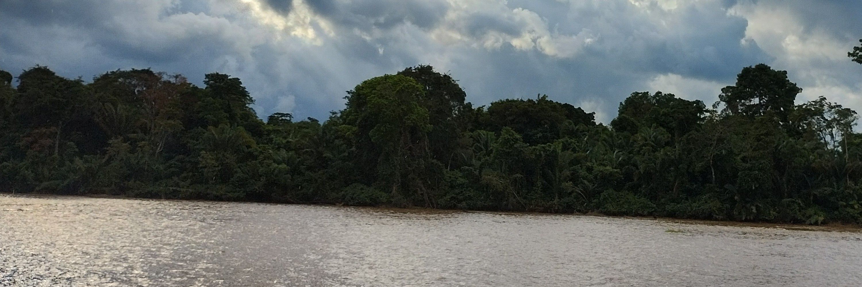 Xinguara 