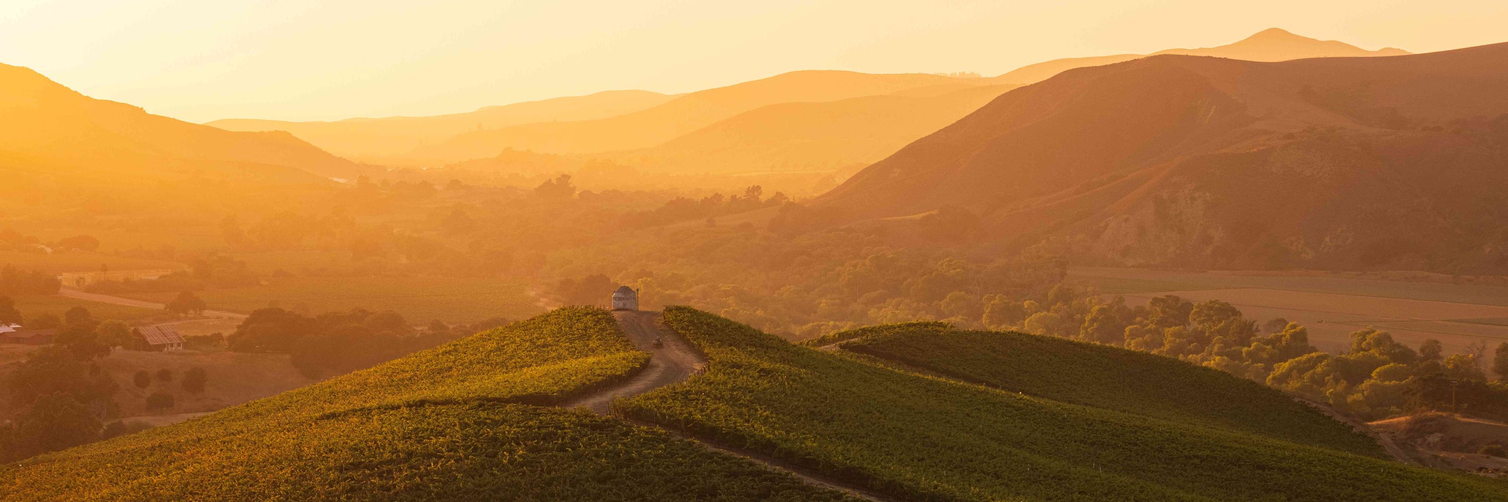 Heather Daenitz | Wine Photographer