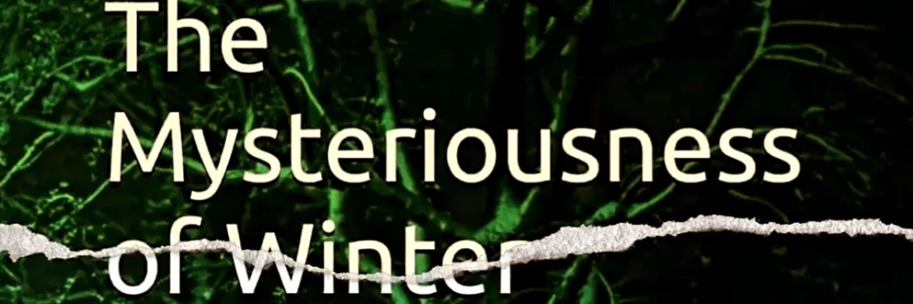 AuthorWillowMathews