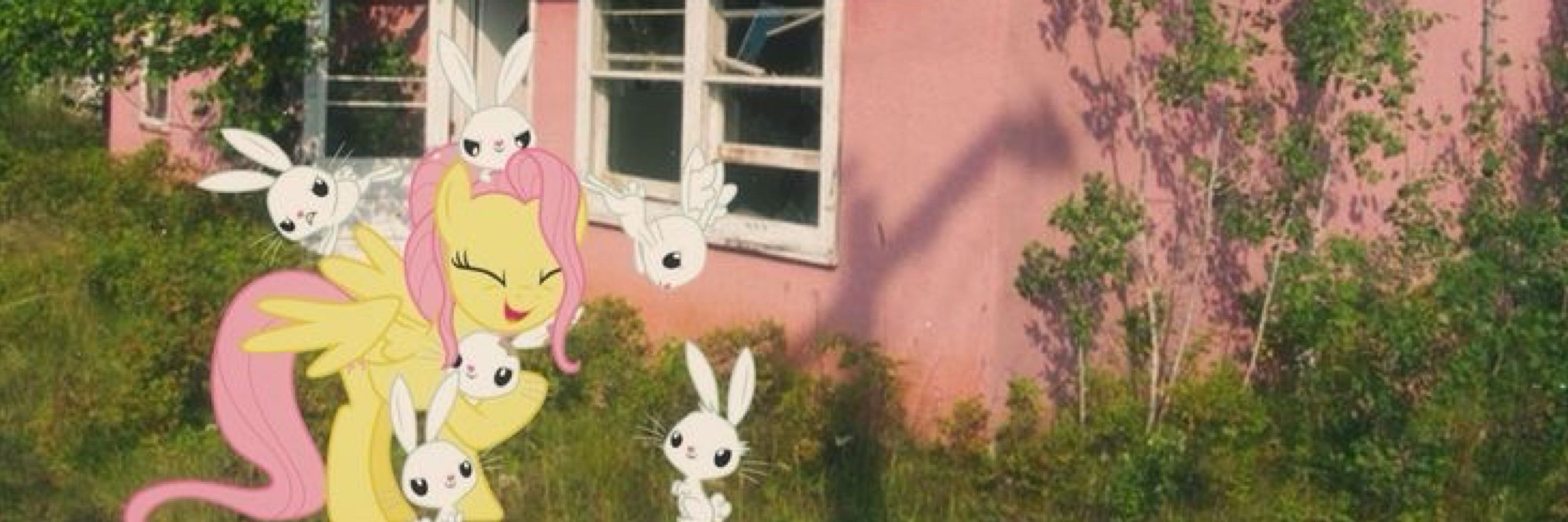 ₊˚Flutters ʚïɞ˚₊·