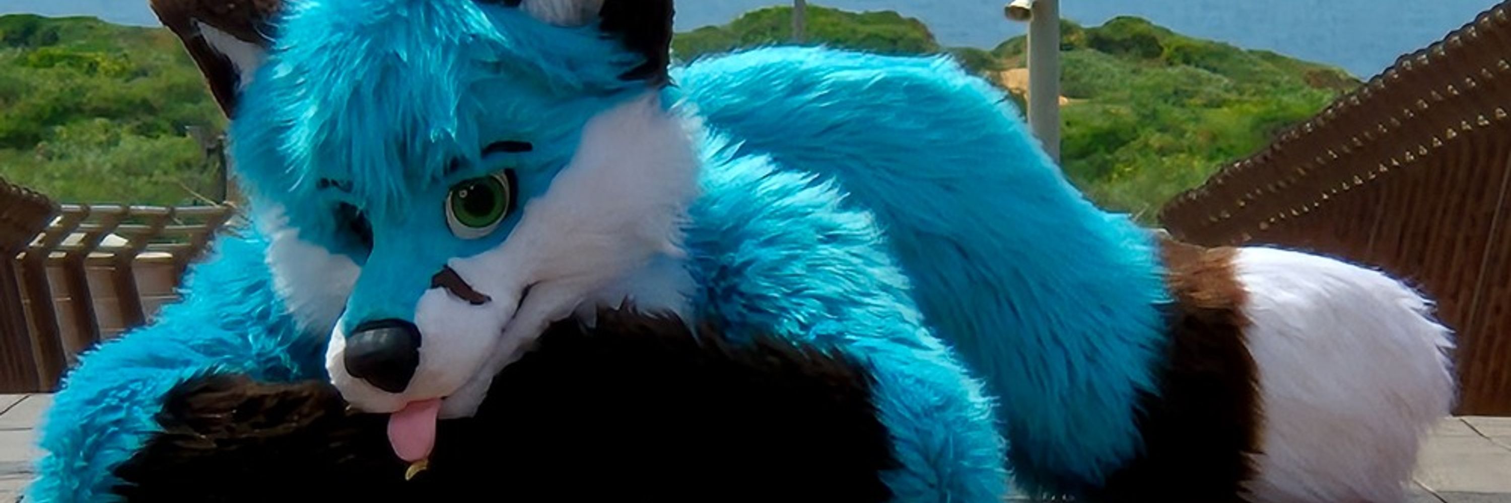 Baleus Blueberry