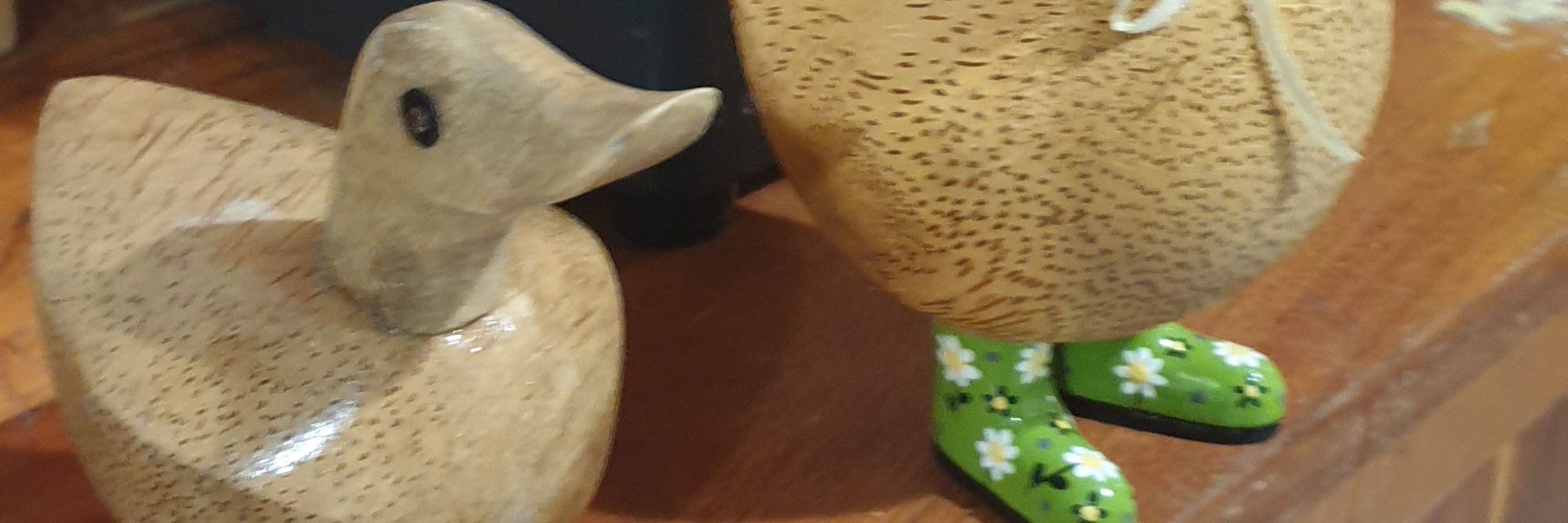 Fuzzy Ducks