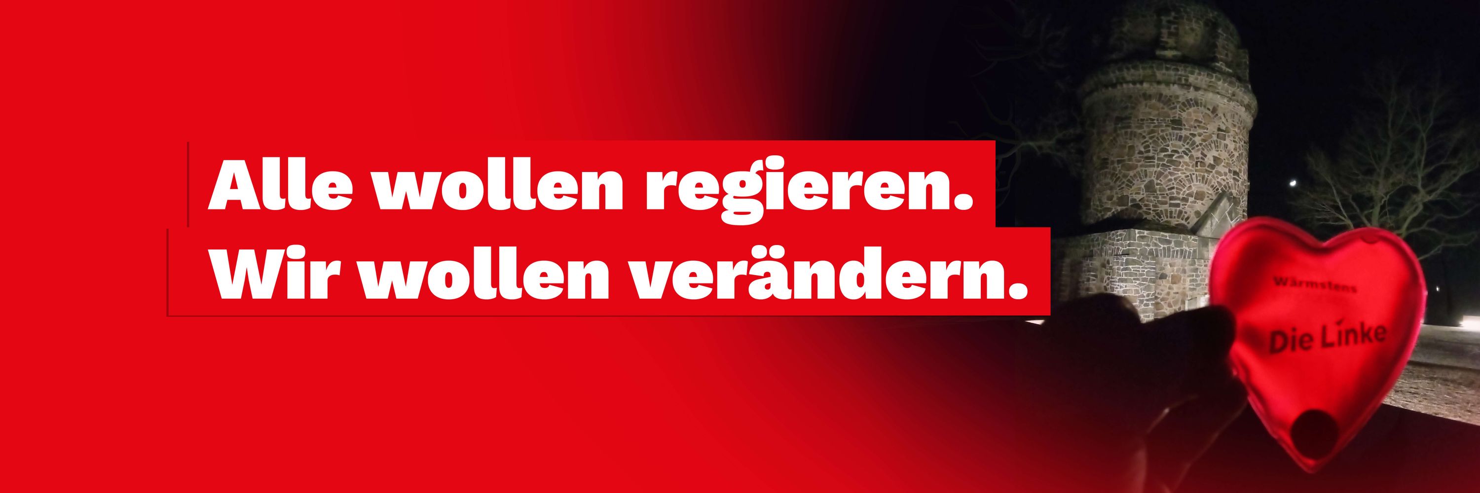 Die Linke Radebeul
