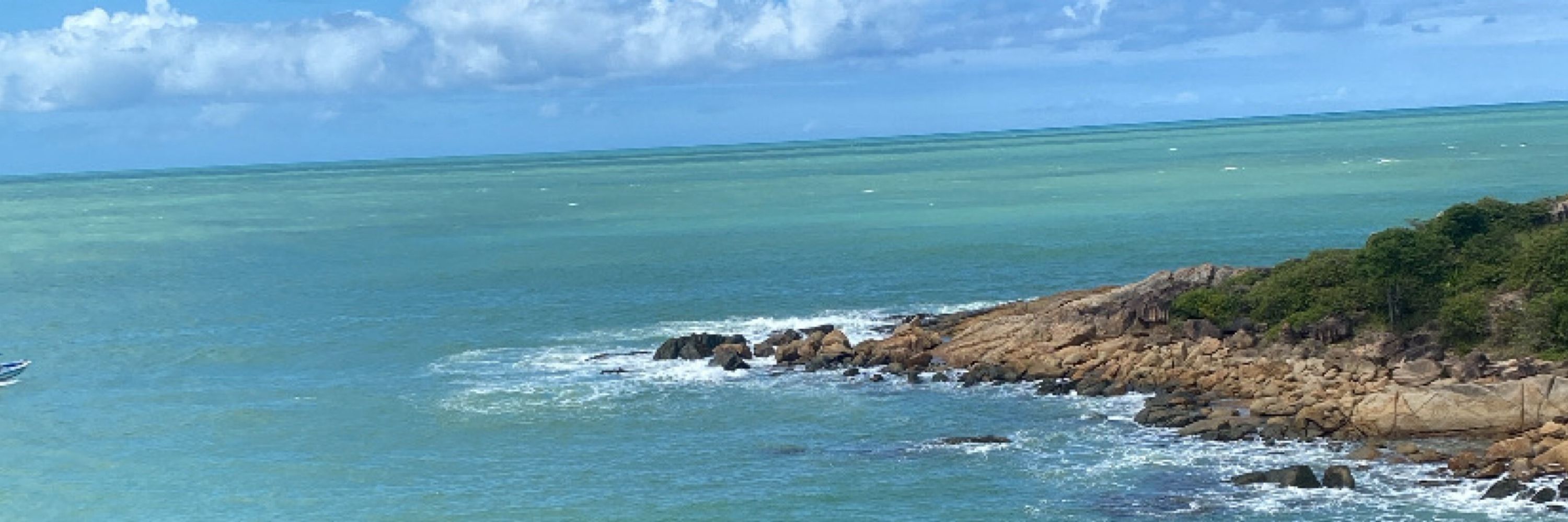 Agathinha