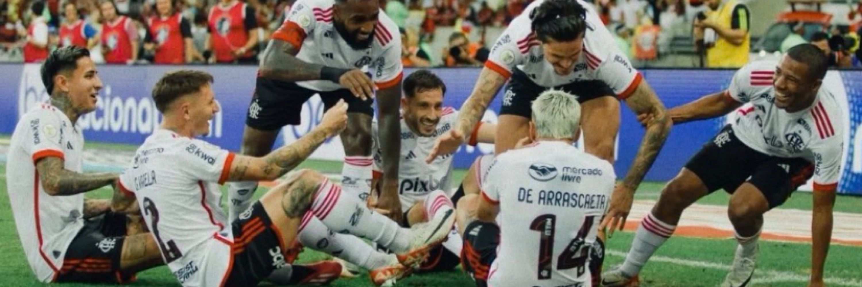aviazinho da narandibsᶜʳᶠ
