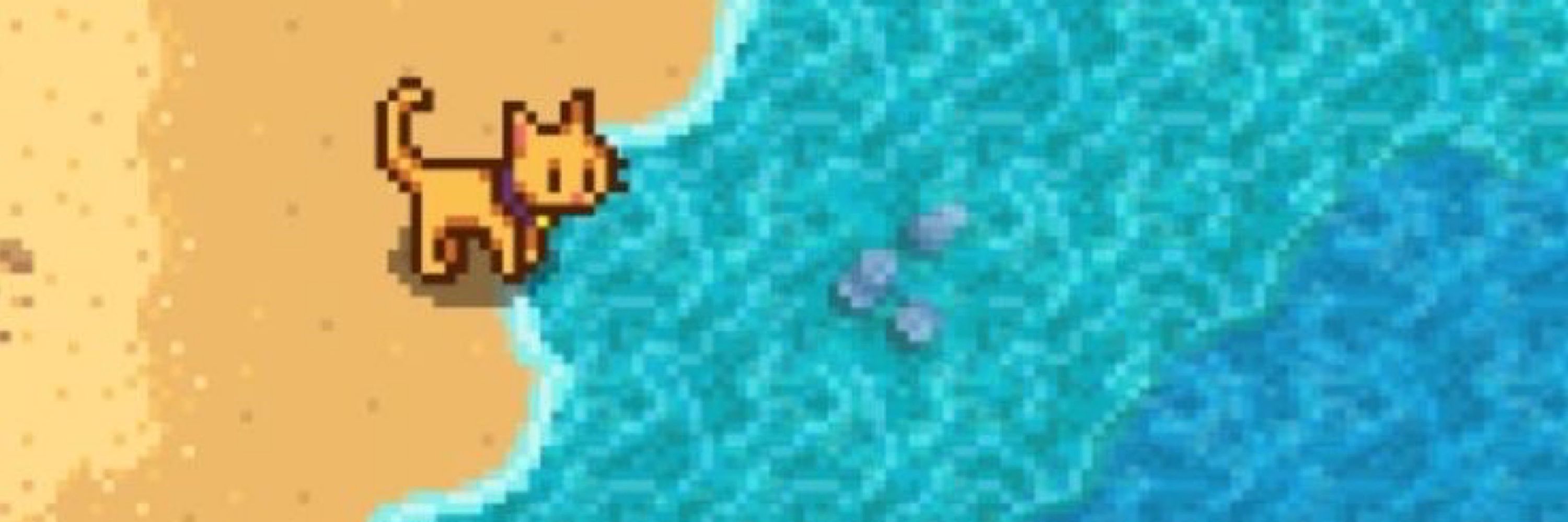 🐈‍⬛